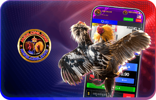Ng78 cock fighitng